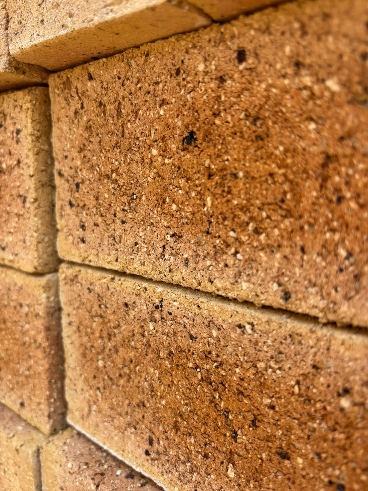 Sunrise Travertine