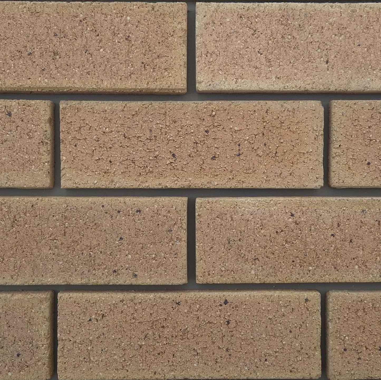 Marble Travertine